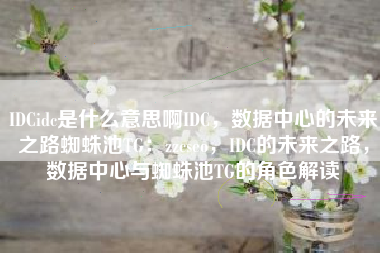 IDCidc是什么意思啊IDC，数据中心的未来之路蜘蛛池TG：zzcseo，IDC的未来之路，数据中心与蜘蛛池TG的角色解读