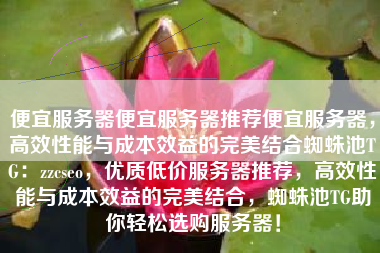 便宜服务器便宜服务器推荐便宜服务器，高效性能与成本效益的完美结合蜘蛛池TG：zzcseo，优质低价服务器推荐，高效性能与成本效益的完美结合，蜘蛛池TG助你轻松选购服务器！