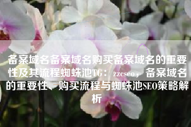 备案域名备案域名购买备案域名的重要性及其流程蜘蛛池TG：zzcseo，备案域名的重要性、购买流程与蜘蛛池SEO策略解析