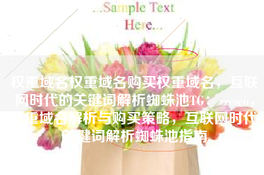 权重域名权重域名购买权重域名，互联网时代的关键词解析蜘蛛池TG：zzcseo，权重域名解析与购买策略，互联网时代关键词解析蜘蛛池指南