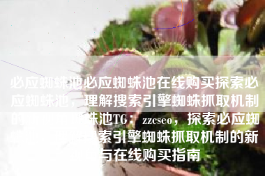 必应蜘蛛池必应蜘蛛池在线购买探索必应蜘蛛池，理解搜索引擎蜘蛛抓取机制的新视角蜘蛛池TG：zzcseo，探索必应蜘蛛池，理解搜索引擎蜘蛛抓取机制的新视角与在线购买指南