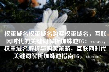 权重域名权重域名购买权重域名，互联网时代的关键词解析蜘蛛池TG：zzcseo，权重域名解析与购买策略，互联网时代关键词解析蜘蛛池指南TG，zzcseo