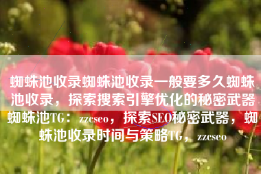 蜘蛛池收录蜘蛛池收录一般要多久蜘蛛池收录，探索搜索引擎优化的秘密武器蜘蛛池TG：zzcseo，探索SEO秘密武器，蜘蛛池收录时间与策略TG，zzcseo
