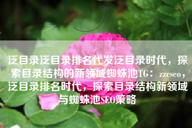 泛目录泛目录排名代发泛目录时代，探索目录结构的新领域蜘蛛池TG：zzcseo，泛目录排名时代，探索目录结构新领域与蜘蛛池SEO策略