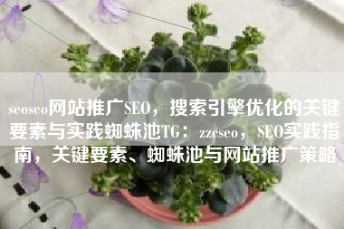 seoseo网站推广SEO，搜索引擎优化的关键要素与实践蜘蛛池TG：zzcseo，SEO实践指南，关键要素、蜘蛛池与网站推广策略