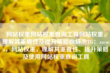 网站权重网站权重查询工具网站权重，理解其重要性及提升策略蜘蛛池TG：zzcseo，网站权重，理解其重要性、提升策略及使用网站权重查询工具