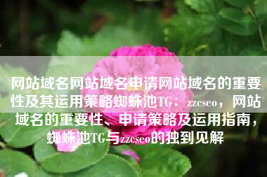 网站域名网站域名申请网站域名的重要性及其运用策略蜘蛛池TG：zzcseo，网站域名的重要性、申请策略及运用指南，蜘蛛池TG与zzcseo的独到见解