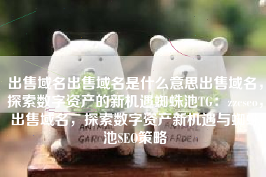 出售域名出售域名是什么意思出售域名，探索数字资产的新机遇蜘蛛池TG：zzcseo，出售域名，探索数字资产新机遇与蜘蛛池SEO策略