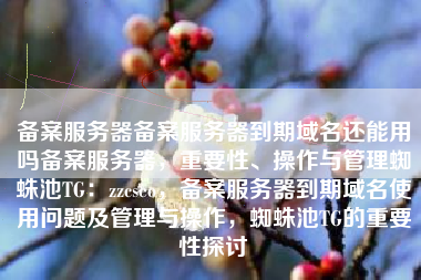 备案服务器备案服务器到期域名还能用吗备案服务器，重要性、操作与管理蜘蛛池TG：zzcseo，备案服务器到期域名使用问题及管理与操作，蜘蛛池TG的重要性探讨