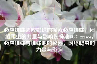 必应蜘蛛必应蜘蛛池探索必应蜘蛛，网络爬虫的力量与影响蜘蛛池TG：zzcseo，必应蜘蛛与蜘蛛池的秘密，网络爬虫的力量与影响