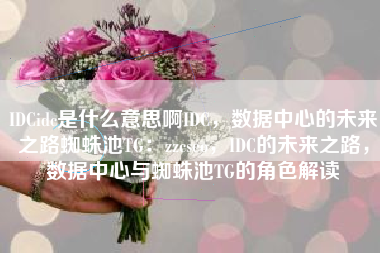 IDCidc是什么意思啊IDC，数据中心的未来之路蜘蛛池TG：zzcseo，IDC的未来之路，数据中心与蜘蛛池TG的角色解读