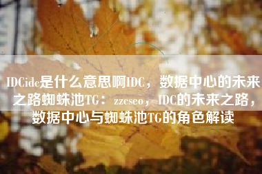 IDCidc是什么意思啊IDC，数据中心的未来之路蜘蛛池TG：zzcseo，IDC的未来之路，数据中心与蜘蛛池TG的角色解读
