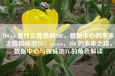 IDCidc是什么意思啊IDC，数据中心的未来之路蜘蛛池TG：zzcseo，IDC的未来之路，数据中心与蜘蛛池TG的角色解读