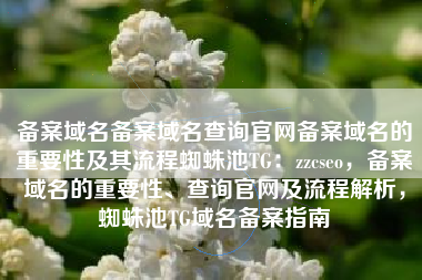 备案域名备案域名查询官网备案域名的重要性及其流程蜘蛛池TG：zzcseo，备案域名的重要性、查询官网及流程解析，蜘蛛池TG域名备案指南