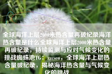 全球海洋上层2000米热含量再破纪录海洋热含量是什么全球海洋上层2000米热含量再破纪录，持续监测与应对气候变化的挑战蜘蛛池TG：zzcseo，全球海洋上层热含量破纪录，揭秘海洋热含量与气候变化的挑战