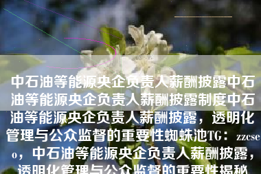中石油等能源央企负责人薪酬披露中石油等能源央企负责人薪酬披露制度中石油等能源央企负责人薪酬披露，透明化管理与公众监督的重要性蜘蛛池TG：zzcseo，中石油等能源央企负责人薪酬披露，透明化管理与公众监督的重要性揭秘