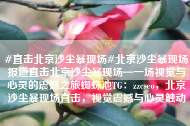 #直击北京沙尘暴现场#北京沙尘暴现场报道直击北京沙尘暴现场—一场视觉与心灵的震撼之旅蜘蛛池TG：zzcseo，北京沙尘暴现场直击，视觉震撼与心灵触动