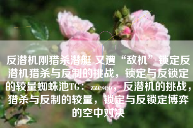 反潜机刚猎杀潜艇 又遭“敌机”锁定反潜机猎杀与反制的挑战，锁定与反锁定的较量蜘蛛池TG：zzcseo，反潜机的挑战，猎杀与反制的较量，锁定与反锁定博弈的空中对决