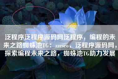 泛程序泛程序源码网泛程序，编程的未来之路蜘蛛池TG：zzcseo，泛程序源码网，探索编程未来之路，蜘蛛池TG助力发展