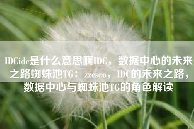 IDCidc是什么意思啊IDC，数据中心的未来之路蜘蛛池TG：zzcseo，IDC的未来之路，数据中心与蜘蛛池TG的角色解读