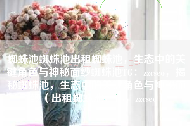 蜘蛛池蜘蛛池出租蜘蛛池，生态中的关键角色与神秘面纱蜘蛛池TG：zzcseo，揭秘蜘蛛池，生态中的关键角色与神秘面纱（出租蜘蛛池，TG，zzcseo）