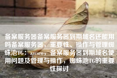 备案服务器备案服务器到期域名还能用吗备案服务器，重要性、操作与管理蜘蛛池TG：zzcseo，备案服务器到期域名使用问题及管理与操作，蜘蛛池TG的重要性探讨