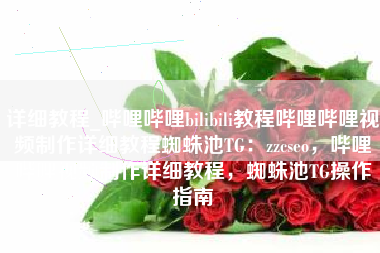 详细教程_哔哩哔哩bilibili教程哔哩哔哩视频制作详细教程蜘蛛池TG：zzcseo，哔哩哔哩视频制作详细教程，蜘蛛池TG操作指南