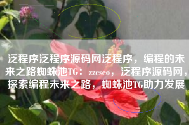 泛程序泛程序源码网泛程序，编程的未来之路蜘蛛池TG：zzcseo，泛程序源码网，探索编程未来之路，蜘蛛池TG助力发展
