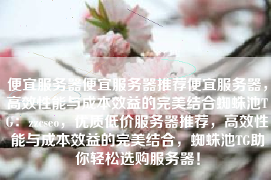 便宜服务器便宜服务器推荐便宜服务器，高效性能与成本效益的完美结合蜘蛛池TG：zzcseo，优质低价服务器推荐，高效性能与成本效益的完美结合，蜘蛛池TG助你轻松选购服务器！