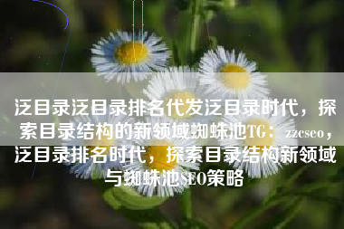 泛目录泛目录排名代发泛目录时代，探索目录结构的新领域蜘蛛池TG：zzcseo，泛目录排名时代，探索目录结构新领域与蜘蛛池SEO策略