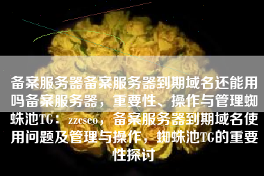 备案服务器备案服务器到期域名还能用吗备案服务器，重要性、操作与管理蜘蛛池TG：zzcseo，备案服务器到期域名使用问题及管理与操作，蜘蛛池TG的重要性探讨