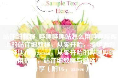 站详细教程_哔哩哔哩站怎么用哔哩哔哩上的站详细教程，从零开始，步步为营蜘蛛池TG：zzcseo，从零开始的哔哩哔哩站使用指南，站详细教程与蜘蛛池技巧分享（附TG，zzcseo）