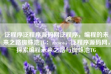 泛程序泛程序源码网泛程序，编程的未来之路蜘蛛池TG：zzcseo，泛程序源码网，探索编程未来之路与蜘蛛池TG