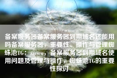 备案服务器备案服务器到期域名还能用吗备案服务器，重要性、操作与管理蜘蛛池TG：zzcseo，备案服务器到期域名使用问题及管理与操作，蜘蛛池TG的重要性探讨