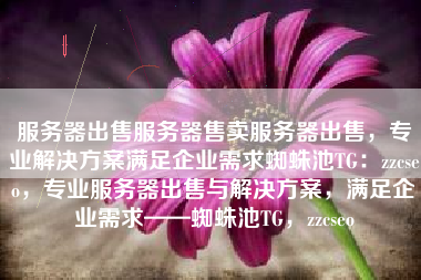 服务器出售服务器售卖服务器出售，专业解决方案满足企业需求蜘蛛池TG：zzcseo，专业服务器出售与解决方案，满足企业需求——蜘蛛池TG，zzcseo