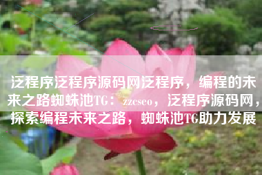 泛程序泛程序源码网泛程序，编程的未来之路蜘蛛池TG：zzcseo，泛程序源码网，探索编程未来之路，蜘蛛池TG助力发展