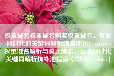 权重域名权重域名购买权重域名，互联网时代的关键词解析蜘蛛池TG：zzcseo，权重域名解析与购买策略，互联网时代关键词解析蜘蛛池指南（附TG，zzcseo）