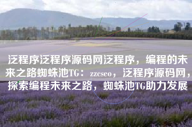 泛程序泛程序源码网泛程序，编程的未来之路蜘蛛池TG：zzcseo，泛程序源码网，探索编程未来之路，蜘蛛池TG助力发展