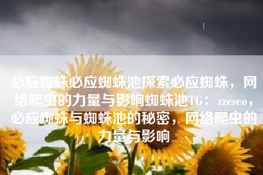 必应蜘蛛必应蜘蛛池探索必应蜘蛛，网络爬虫的力量与影响蜘蛛池TG：zzcseo，必应蜘蛛与蜘蛛池的秘密，网络爬虫的力量与影响