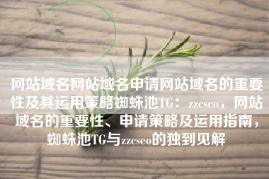 网站域名网站域名申请网站域名的重要性及其运用策略蜘蛛池TG：zzcseo，网站域名的重要性、申请策略及运用指南，蜘蛛池TG与zzcseo的独到见解