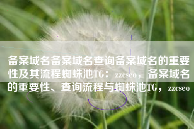 备案域名备案域名查询备案域名的重要性及其流程蜘蛛池TG：zzcseo，备案域名的重要性、查询流程与蜘蛛池TG，zzcseo