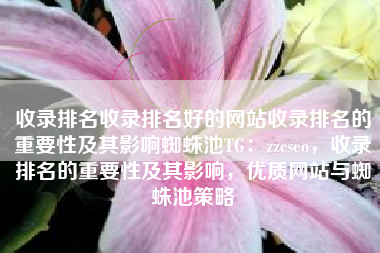 收录排名收录排名好的网站收录排名的重要性及其影响蜘蛛池TG：zzcseo，收录排名的重要性及其影响，优质网站与蜘蛛池策略
