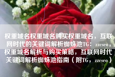 权重域名权重域名购买权重域名，互联网时代的关键词解析蜘蛛池TG：zzcseo，权重域名解析与购买策略，互联网时代关键词解析蜘蛛池指南（附TG，zzcseo）