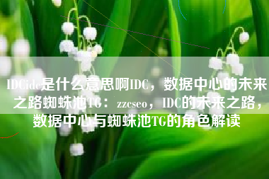 IDCidc是什么意思啊IDC，数据中心的未来之路蜘蛛池TG：zzcseo，IDC的未来之路，数据中心与蜘蛛池TG的角色解读