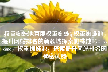 权重蜘蛛池百度权重蜘蛛ip权重蜘蛛池，提升网站排名的新领域探索蜘蛛池TG：zzcseo，权重蜘蛛池，探索提升网站排名的秘密武器