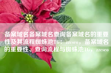 备案域名备案域名查询备案域名的重要性及其流程蜘蛛池TG：zzcseo，备案域名的重要性、查询流程与蜘蛛池TG，zzcseo