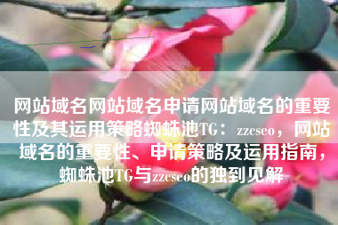 网站域名网站域名申请网站域名的重要性及其运用策略蜘蛛池TG：zzcseo，网站域名的重要性、申请策略及运用指南，蜘蛛池TG与zzcseo的独到见解