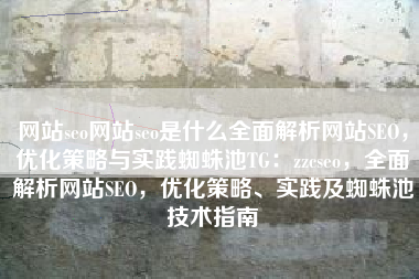 网站seo网站seo是什么全面解析网站SEO，优化策略与实践蜘蛛池TG：zzcseo，全面解析网站SEO，优化策略、实践及蜘蛛池技术指南