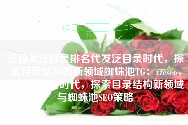泛目录泛目录排名代发泛目录时代，探索目录结构的新领域蜘蛛池TG：zzcseo，泛目录排名时代，探索目录结构新领域与蜘蛛池SEO策略