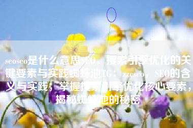 seoseo是什么意思SEO，搜索引擎优化的关键要素与实践蜘蛛池TG：zzcseo，SEO的含义与实践，掌握搜索引擎优化核心要素，揭秘蜘蛛池的秘密